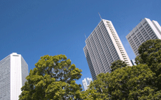 アルック情報木